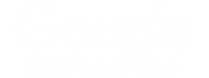 Google REVIEW LOGO